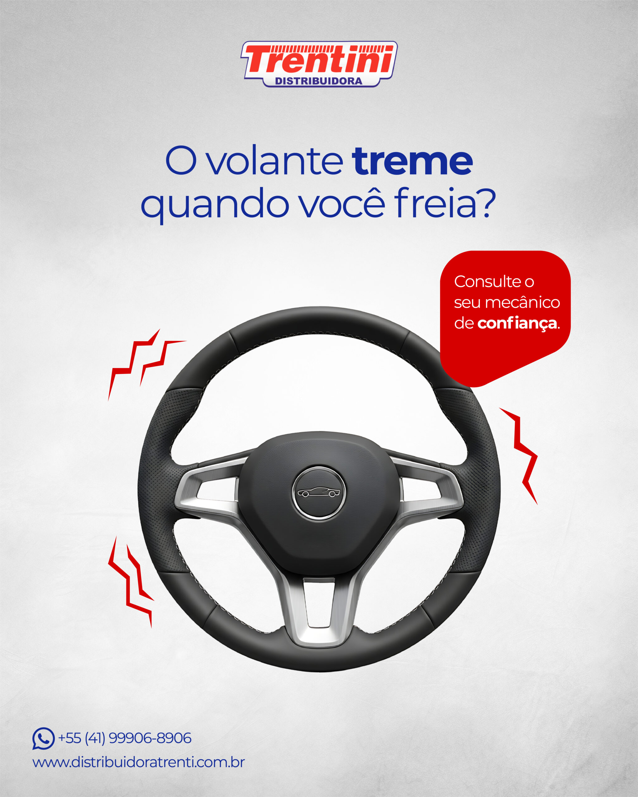 Post Redes Sociais – Distribuidora Trentini – Dicas